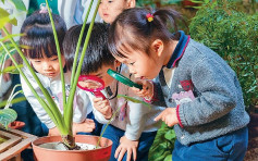 【優質教育「+」之3歲定80？】啟發2至6歲孩子學習動機六步驟